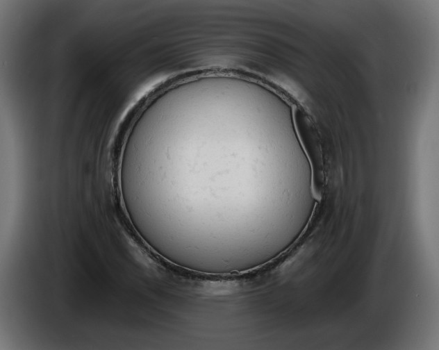 X0000086031118200704131906