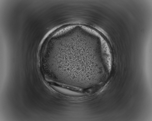 X0000086031120200704131906