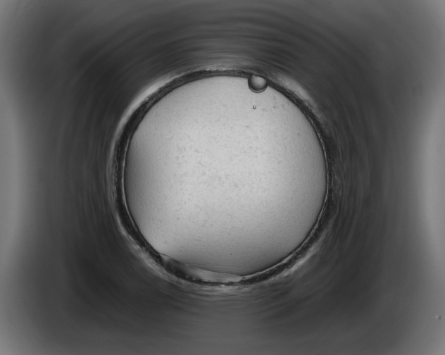 X0000086031122200704131907