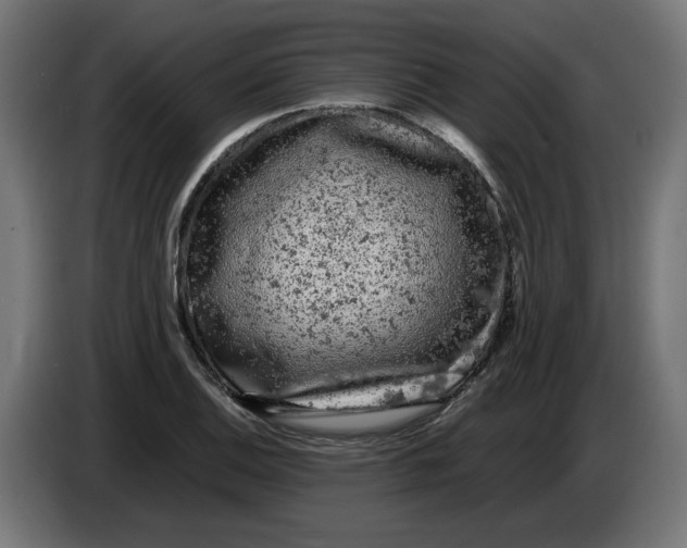 X0000086031124200704131907