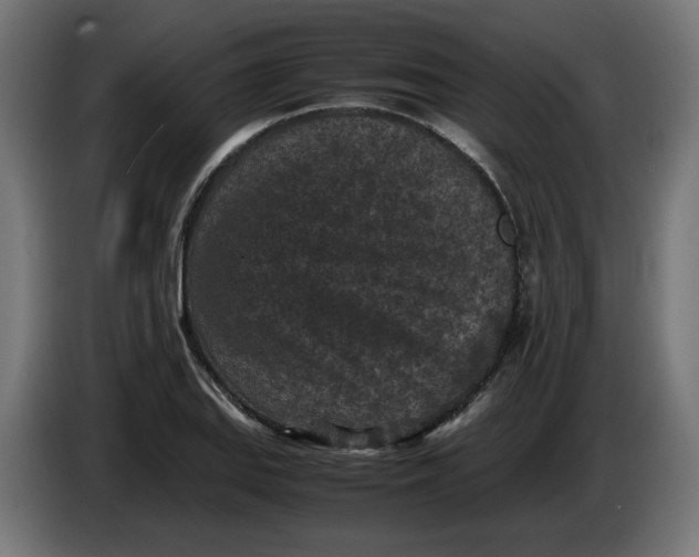 X0000086031127200704131907