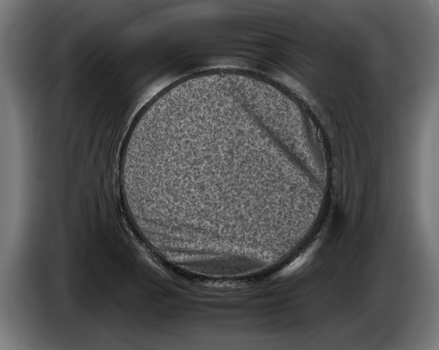 X0000086031129200704131907