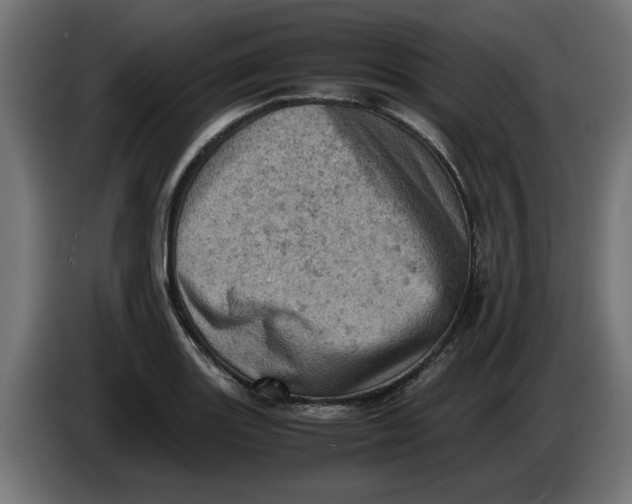 X0000086031131200704131907