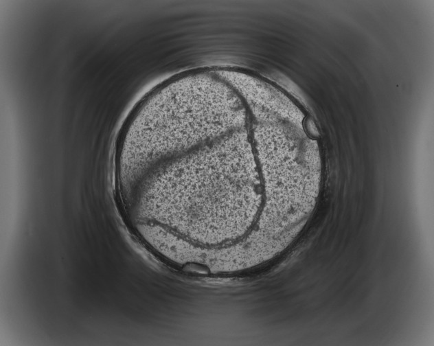 X0000086031132200704131907