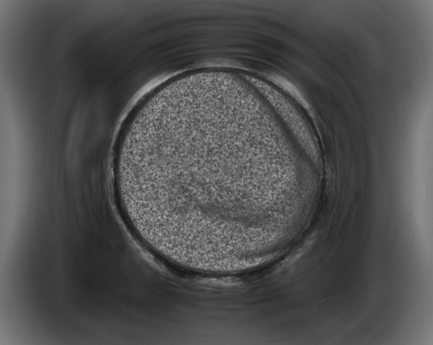 X0000086031133200704131907