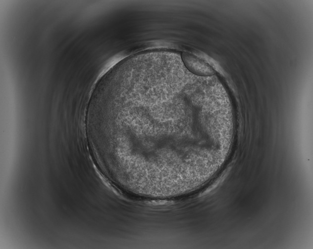 X0000086031137200704131907