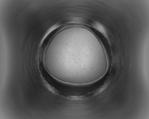 X0000086031138200704131907