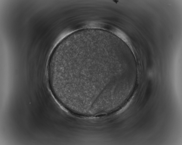 X0000086031141200704131907