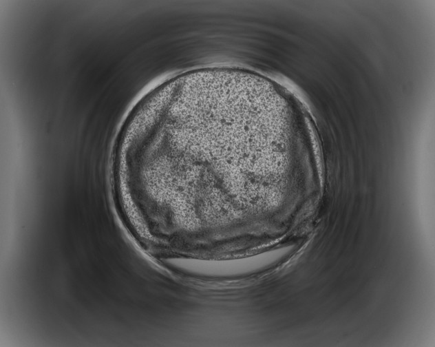 X0000086031142200704131907