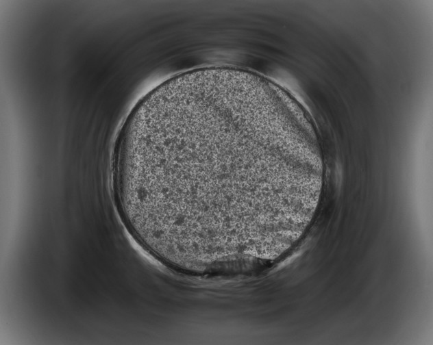 X0000086031143200704131907