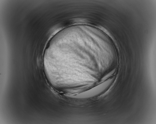 X0000086031145200704131907