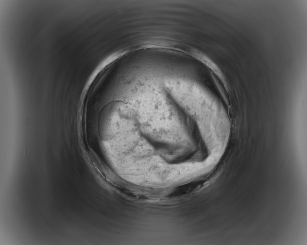 X0000086031146200704131907