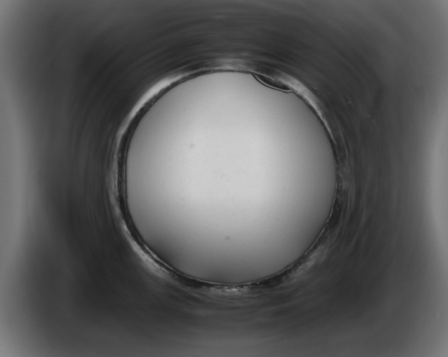 X0000086031147200704131907