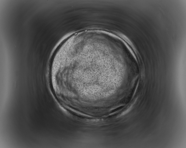 X0000086031149200704131907