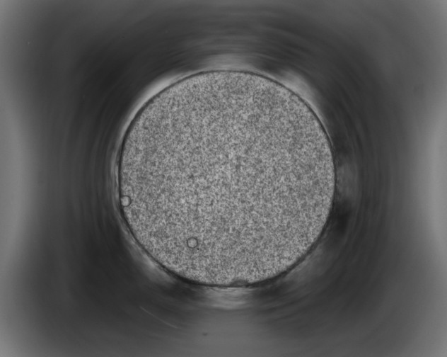 X0000086031150200704131907