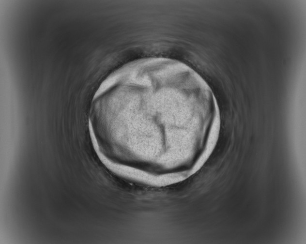 X0000086031153200704131906