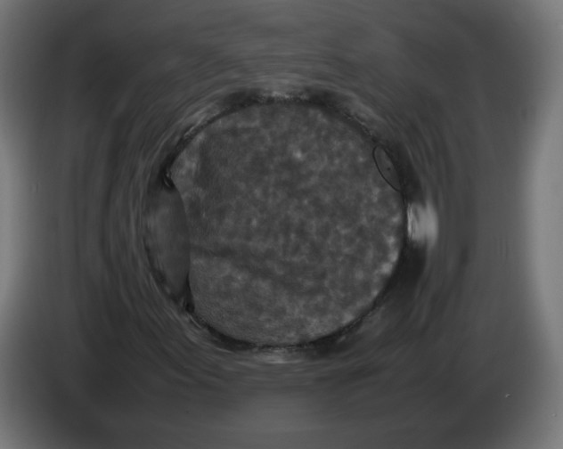 X0000086031155200704131906