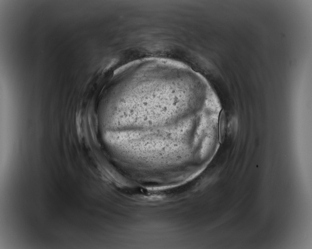 X0000086031156200704131906