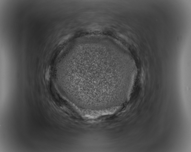 X0000086031157200704131906