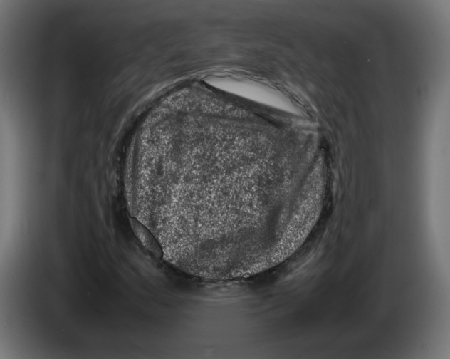 X0000086031159200704131906