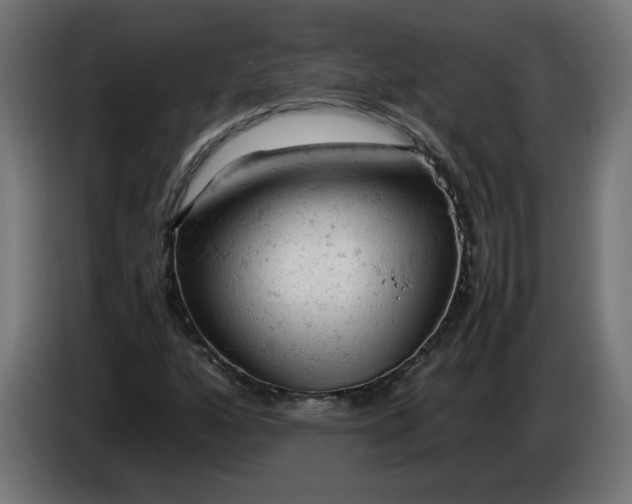 X0000086031160200704131906