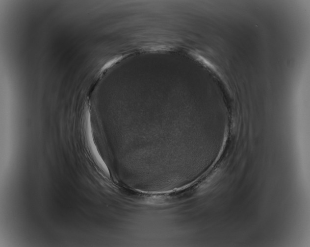 X0000086031161200704131906