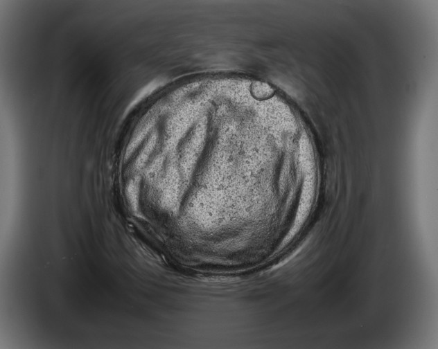 X0000086031163200704131906