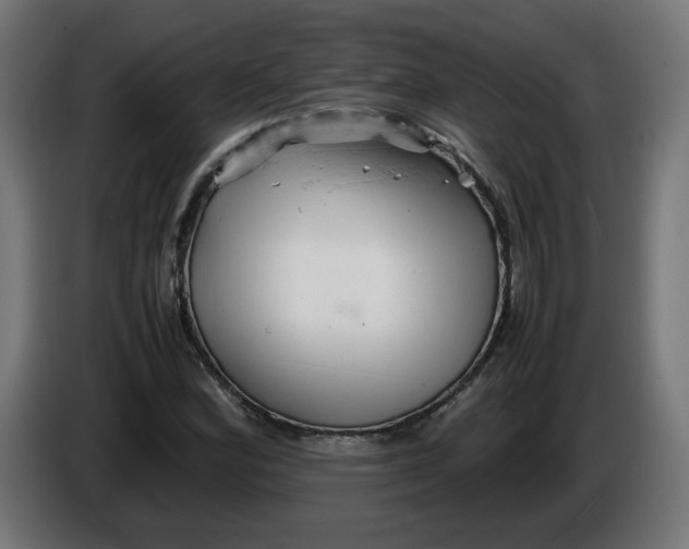 X0000086031164200704131906