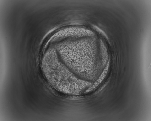 X0000086031166200704131906