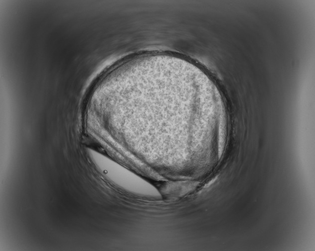 X0000086031167200704131906