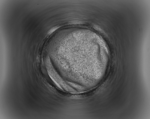 X0000086031169200704131906