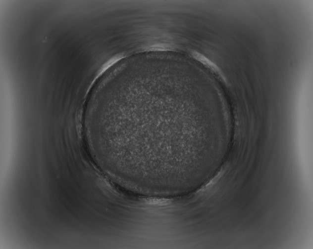 X0000086031170200704131906