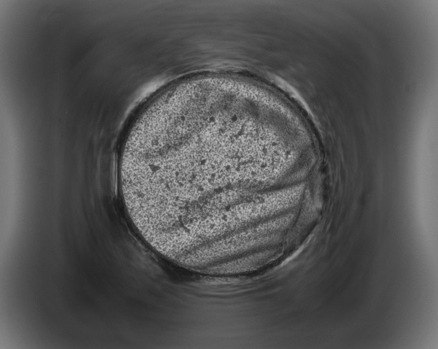 X0000086031171200704131906