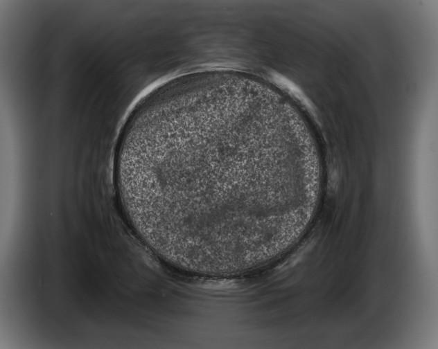 X0000086031174200704131906