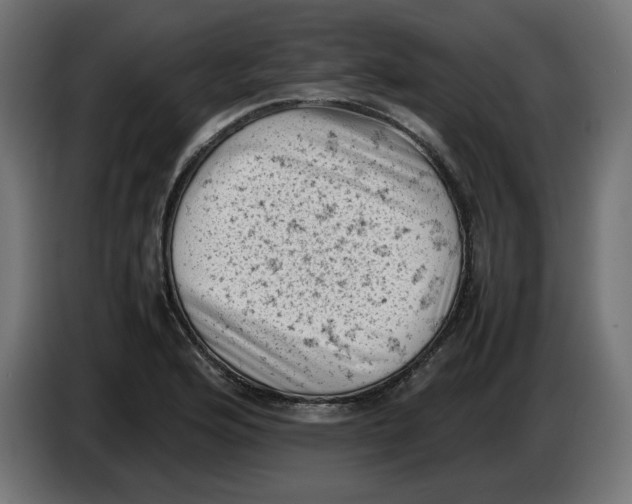 X0000086031176200704131906