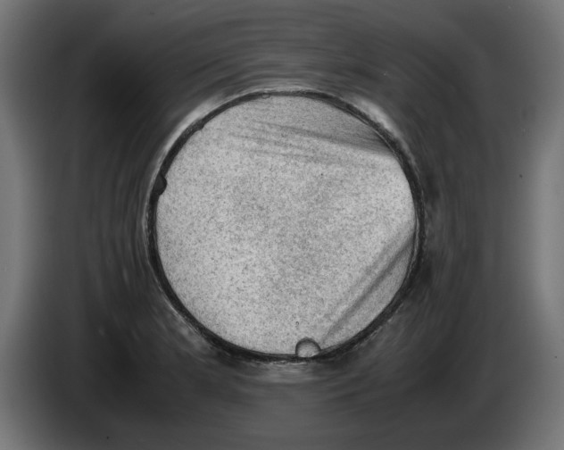 X0000086031181200704131906