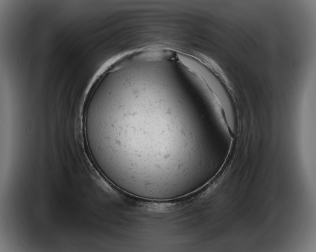 X0000086031184200704131906