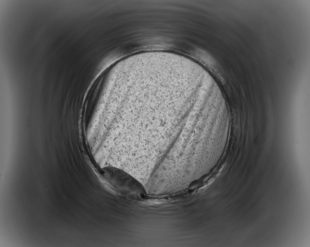 X0000086031186200704131906