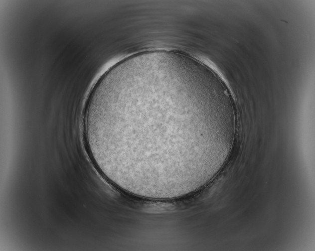 X0000086031187200704131906