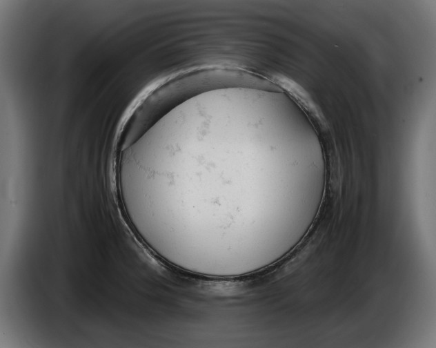 X0000086031188200704131906