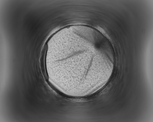 X0000086031189200704131906