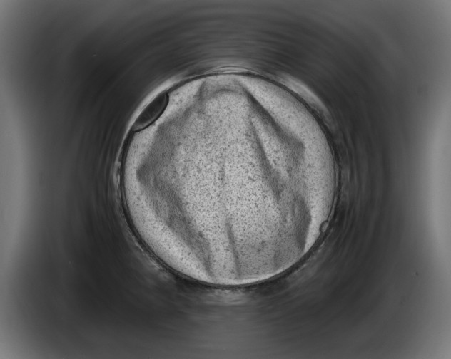 X0000086031190200704131906