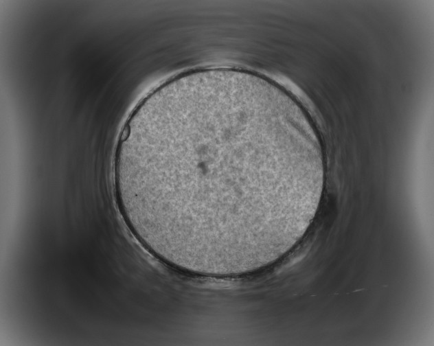 X0000086031191200704131906