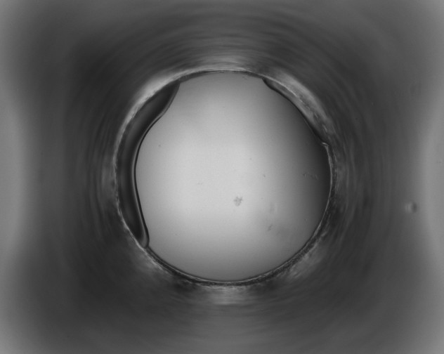 X0000086031192200704131906