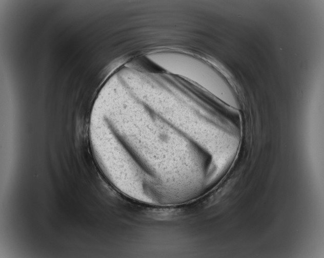 X0000086031193200704131906