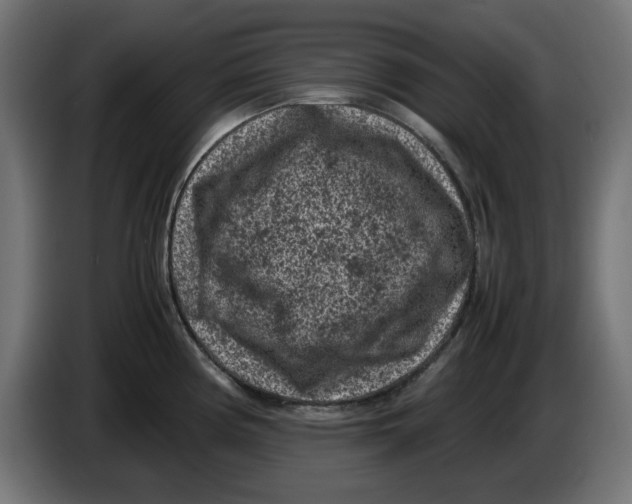 X0000086031194200704131906