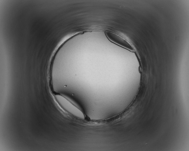 X0000086031195200704131906