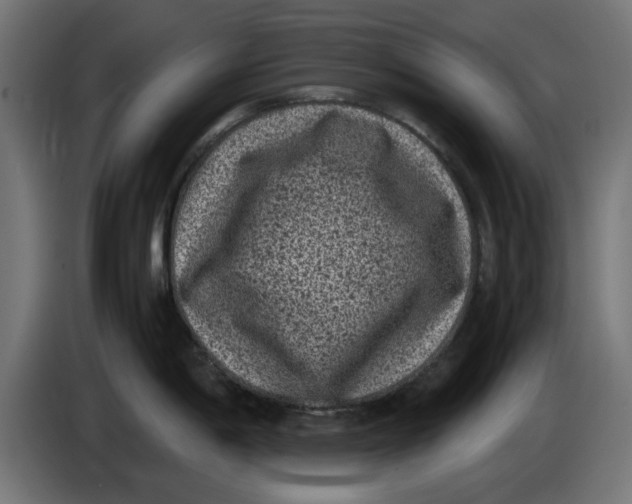 X0000086031198200704131906