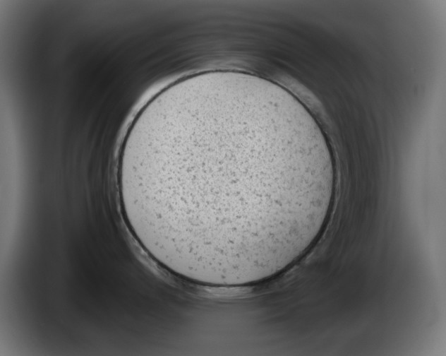 X0000086031200200704131906