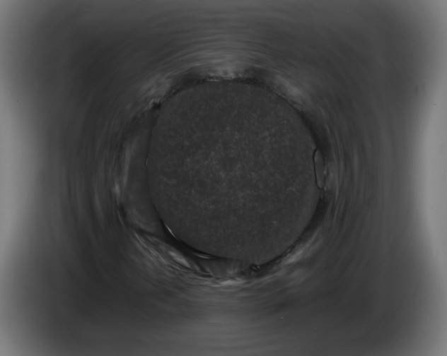 X0000086031202200704131905